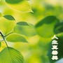 人生真善美