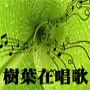 樹葉在唱歌